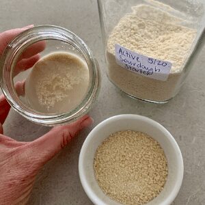 Activating a dried starter from powder