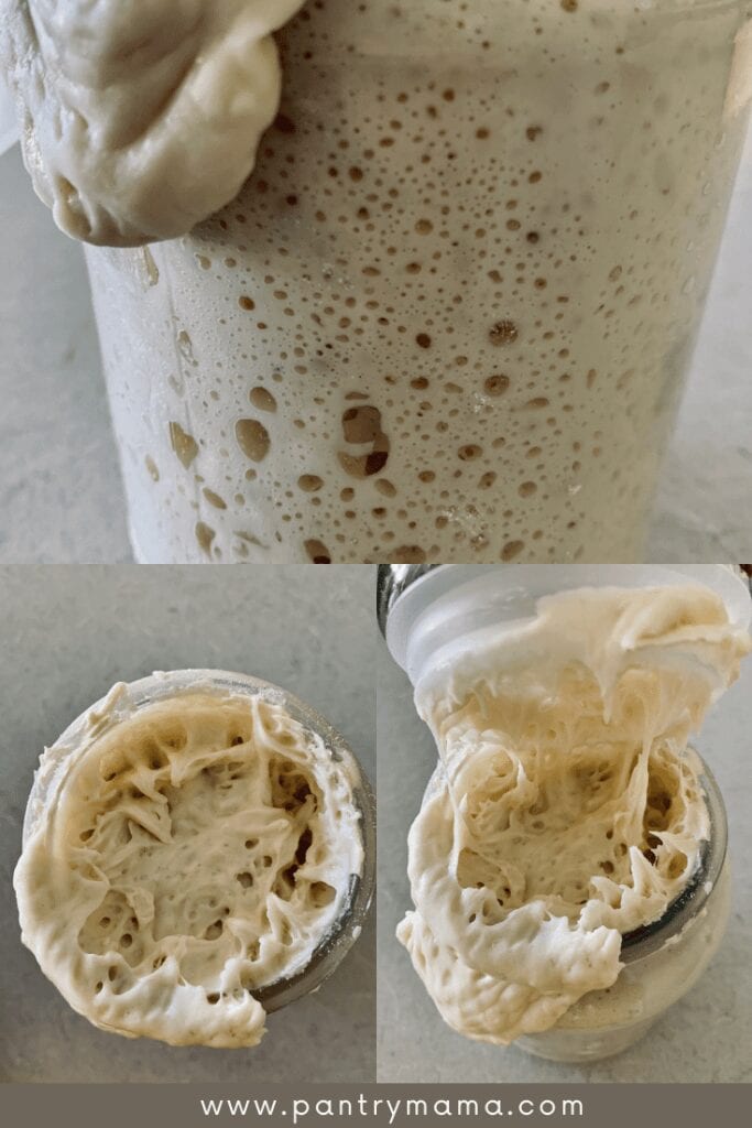 Strong sourdough starter - this photo shows the same jar of sourdough starter 3 times. You can see the strong bubbles on the side of the jar and the second two photos are from above and show the thick, strong sourdough starter.