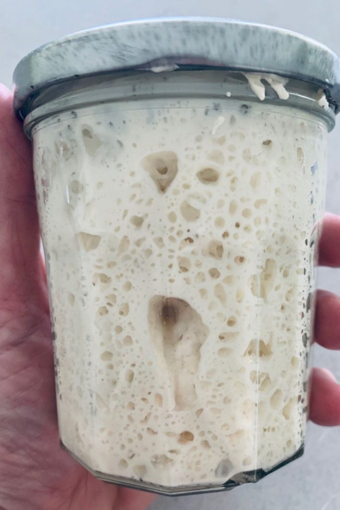 Boost your sourdough starter by keeping it at a lower hydration - this photo shows a jar of sourdough starter being held in a hand. It has large, deep bubbles up against the glass of the jar.