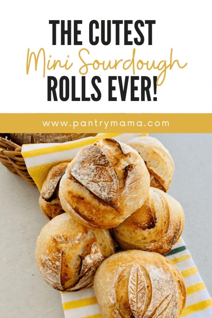 Mini sourdough bread rolls boule
