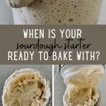When is your sourdough starter ready to bake with?