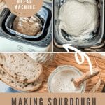 Bread Machine Sourdough Recipe