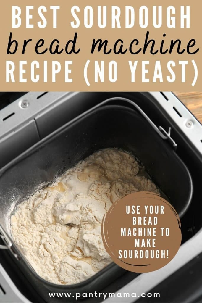 Best sourdough bread machine recipe no yeast