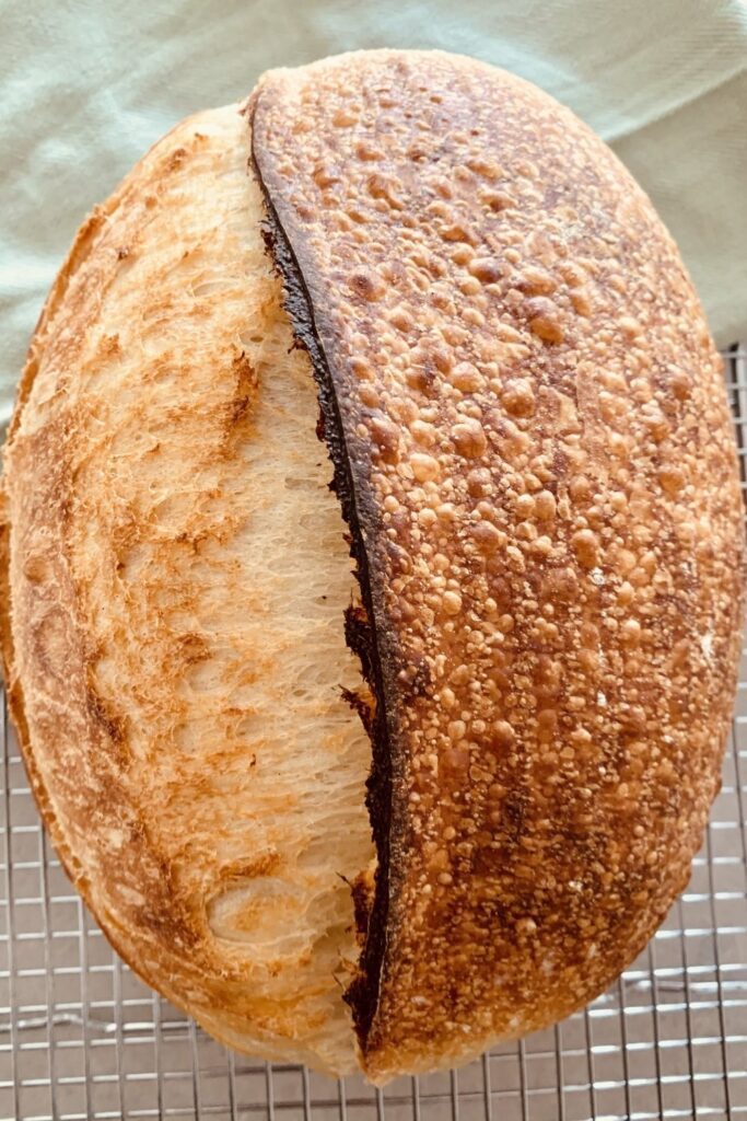 Bulk ferment vs cold ferment - a beautifully blistered crust as a result of long cold fermentation.