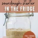 How to store sourdough starter in the fridge pinterest