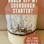 Sourdough Starter Liquid