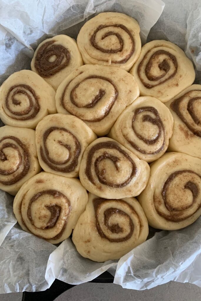 Fluffy sourdough cinnamon rolls all puffed up and ready for baking.