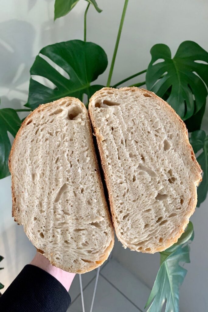 Sourdough bread that has been cut while still warm - displaying lines where the knife has stuck to the bread.