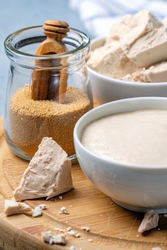 Commercial baker's yeast vs sourdough yeast