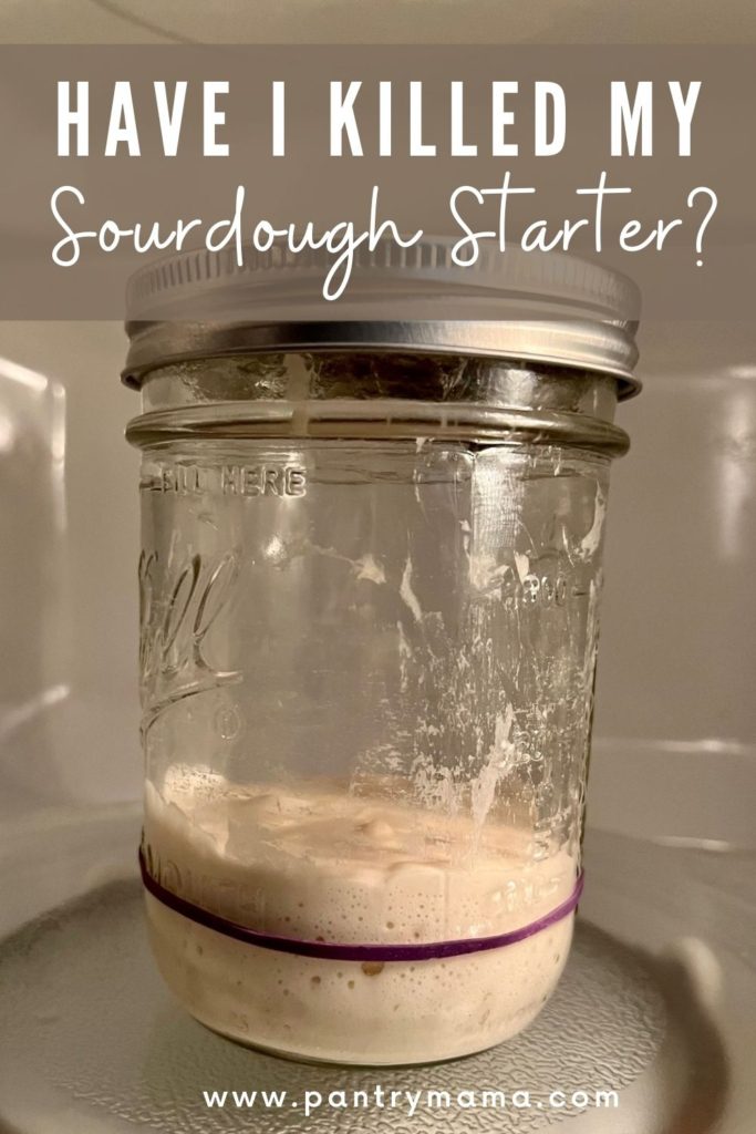Have I killed my sourdough starter? Social Media Image