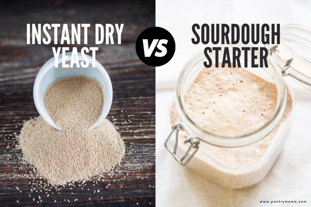Instant Dry Yeast vs Sourdough Starter - photo shows both types of yeast (instant dry yeast on the left and sourdough starter on the right).