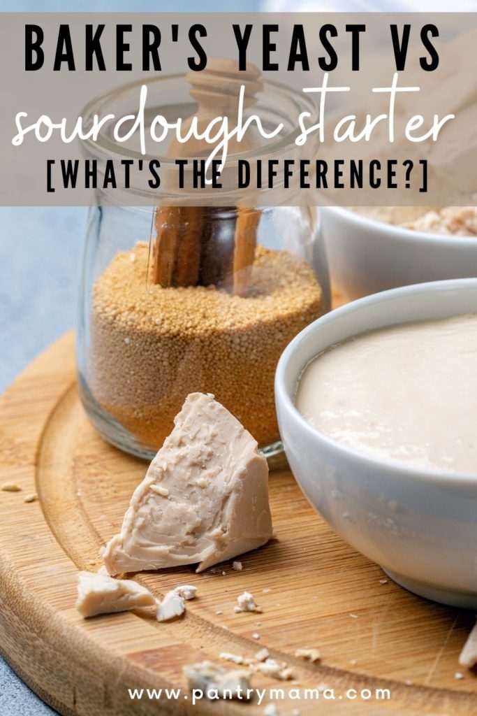 YEAST VS SOURDOUGH STARTER - WHATS THE DIFFERENCE - PINTEREST IMAGE