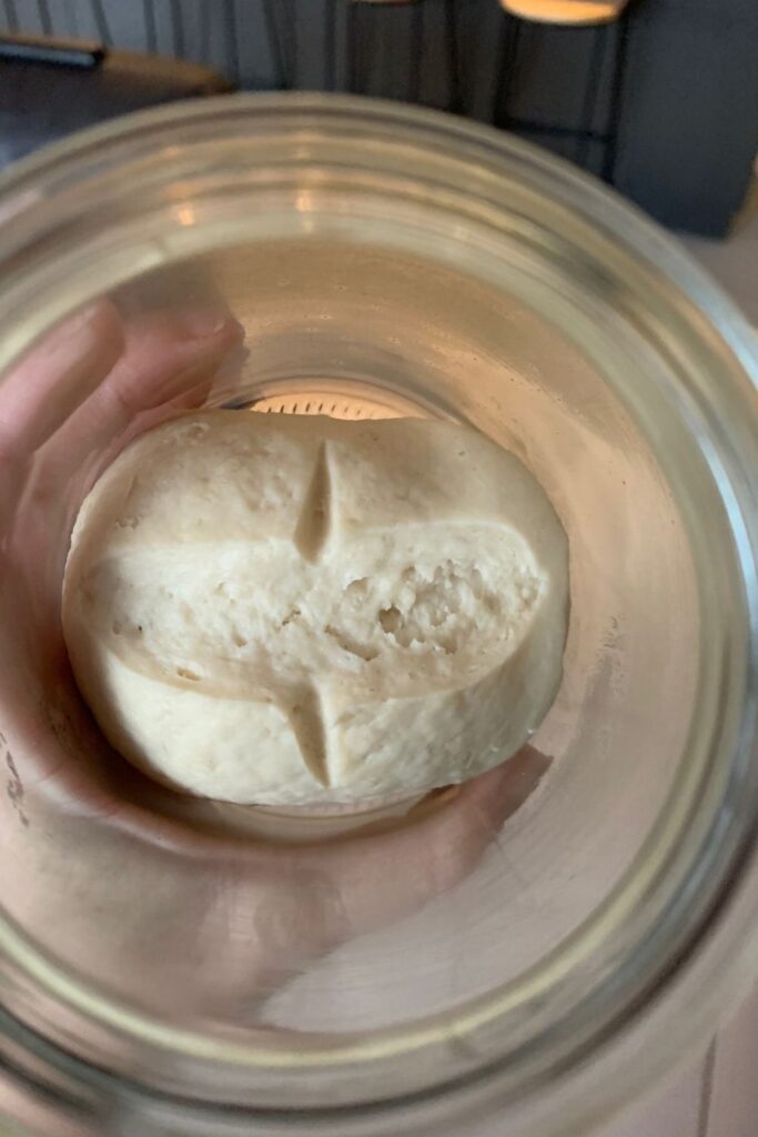 Pasta Madre is a different type of sourdough starter. This photo shows a recently fed Pasta Madre starter fermenting in a jar.