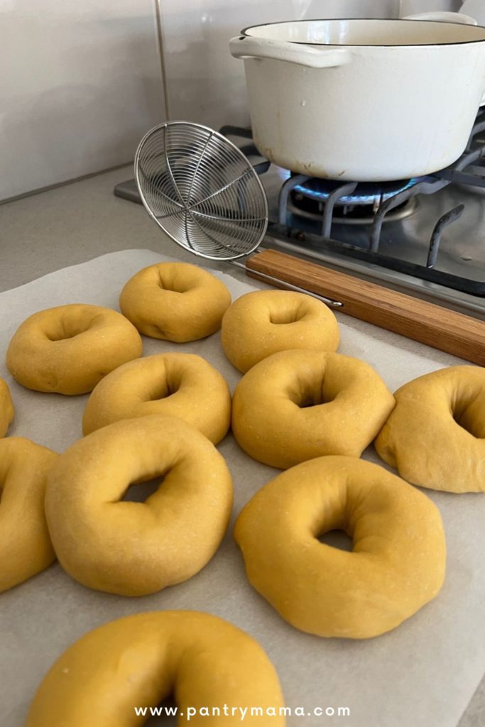 Puffy sourdough pumpkin bagels sitting on the counter next to a Dutch Oven full of honey water. They are waiting to be boiled.