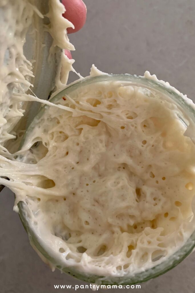 A well fed, bubbly sourdough starter that is key to making same day sourdough bread.