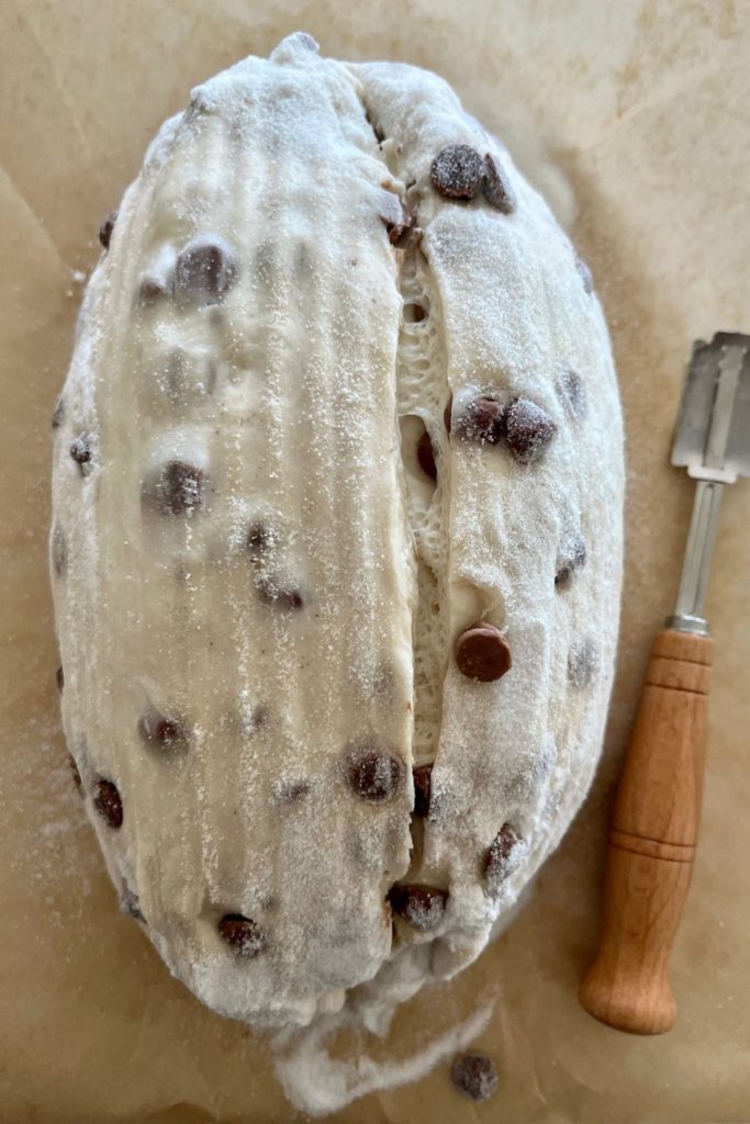 Chocolate Chip Sourdough Bread Dough that has been tipped out of the banneton onto a piece of parchment paper. There is a bread lame sitting to the right of the dough.