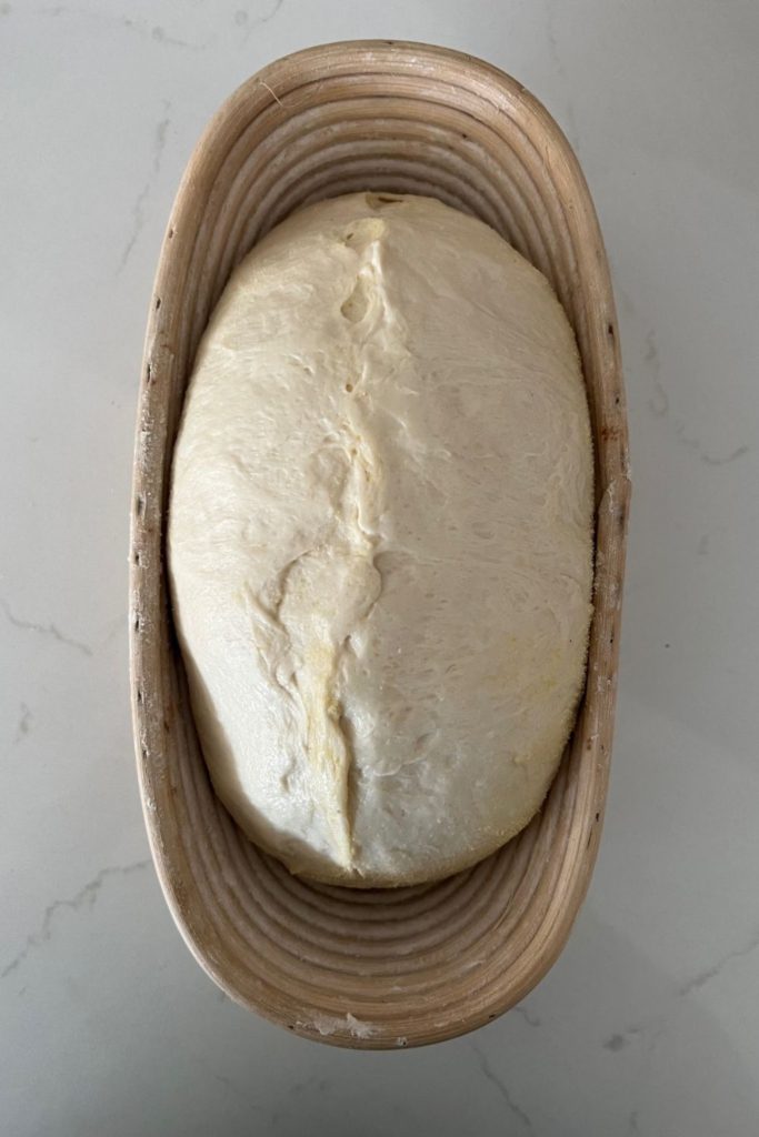 Sourdough buttermilk bread dough sitting in an oval banneton.