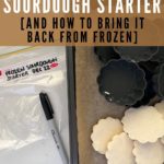 How to freeze sourdough starter - pinterest image
