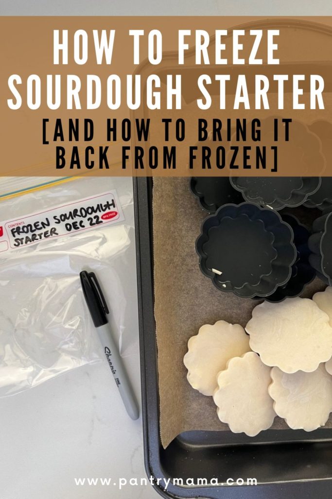 How to freeze sourdough starter (and bring it back from frozen) - Pinterest Image