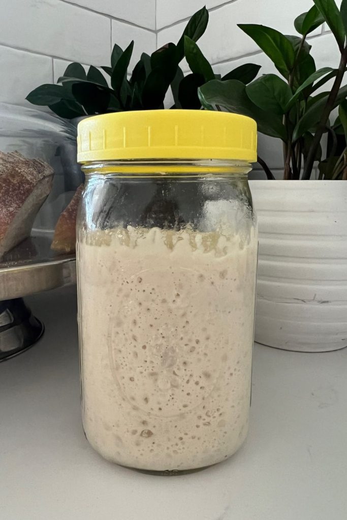 Tall mason jar with yellow lid containing recently fed sourdough starter.
